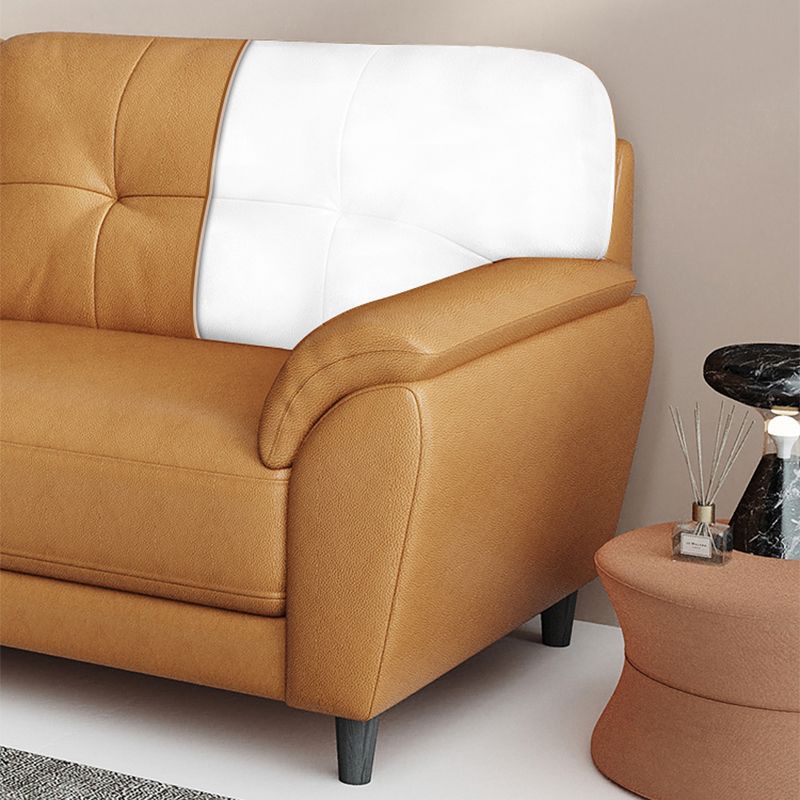 Stain Resistant Contemporary Pillow Top Arm Standard Settee Couch Clearhalo 'furn' 'furn_sofas' 'Furniture' 'Living Room Furniture' 'Sofa' 'sofas' 1200x1200_81079978-1f63-4ae3-9a4c-a485b06f8e40