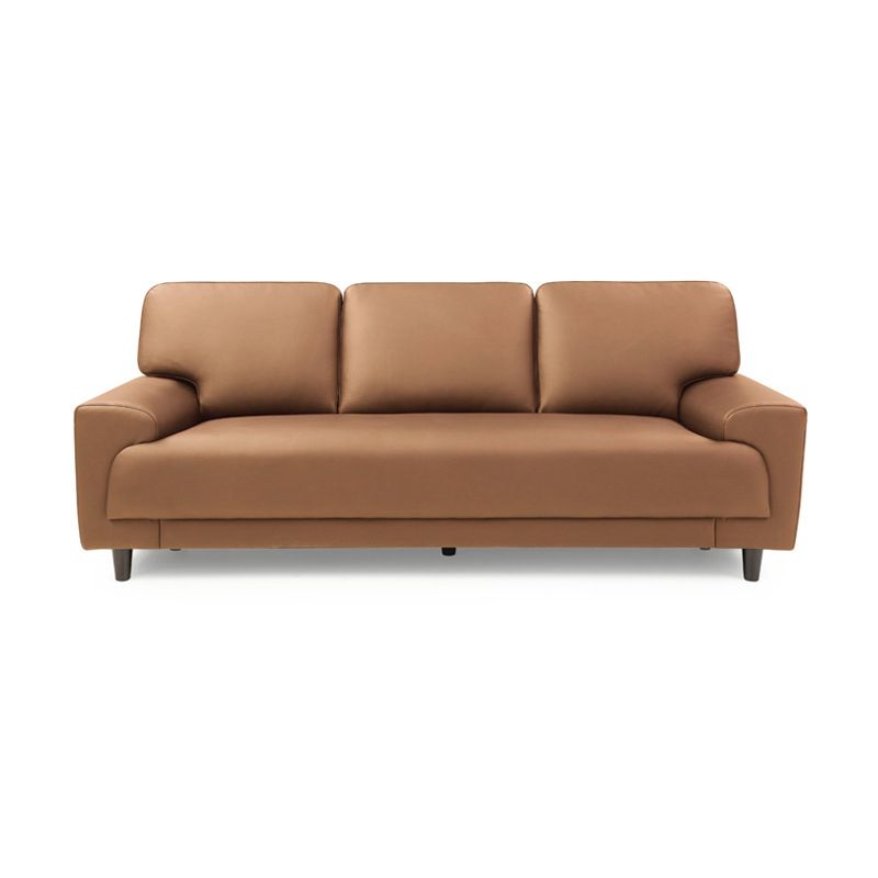 Contemporary Pillow Back Couch Leather Sofa with Solid Wood Legs Clearhalo 'Furniture' 'furniture_sofas' 'Living Room Furniture' 'Sofa' 'sofas' 1200x1200_811922f0-c70a-4f04-a665-27d5fd6d355c