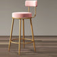 Glam Armless Backrest Counter Stool Iron Cushion Bar Stool with and Pedal Clearhalo 'Bar Furniture' 'Bar Stools' 'bar_stools' 'furn' 'furn_bar_stools' 'Furniture' 'furniture_bar_stools' 'Kitchen & Dining Furniture' 1200x1200_8132757f-2b3f-45d7-b1ee-88e5ce5b15c6