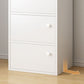 Modern Accent Cabinet Scratch Resistant Wood Cabinet with Doors