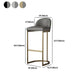 Glam Backrest Armless Counter Stool Iron Bar Stool with Pedal and Cushion