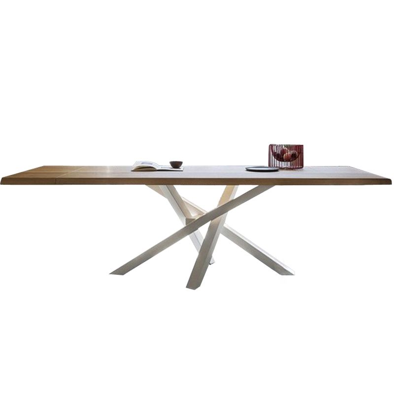 Rectangle Pedestal Luxury Dining Table Solid Wood Fixed Table for Home Clearhalo ' dining_table' 'Dining Tables & Seating' 'Dining Tables' 'furn' 'furn_dining_table' 'Furniture' 'furniture_dining_table' 'Kitchen & Dining Furniture' 'kitchen&dining_furn' 'kitchen' 'kitchen_dining_table' 1200x1200_81b51428-793f-4e96-a2af-678db5909fcc