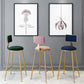 Scandinavian Round Barstools for Home Armless Stools with Metal Base Clearhalo 'Bar Furniture' 'Bar Stools' 'bar_stools' 'furn' 'furn_bar_stools' 'Furniture' 'furniture_bar_stools' 'Kitchen & Dining Furniture' 1200x1200_81cdb6d3-cb2d-43db-a157-7c49716f9ed1