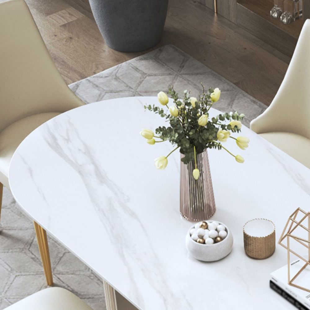 Traditional Luxury Oval Dining Room Table Sintered Stone Table with White Double Pedestal Clearhalo ' dining_table' 'Dining Tables & Seating' 'Dining Tables' 'furn' 'furn_dining_table' 'Furniture' 'furniture_dining_table' 'Kitchen & Dining Furniture' 'kitchen&dining_furn' 'kitchen' 'kitchen_dining_table' 1200x1200_8249fcbb-c915-4a02-b3c2-f9ff7b1058d4