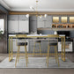 Glam Armless Backrest Counter Stool Iron Kitchen Bar Stool with Cushion and Pedal Clearhalo 'Bar Furniture' 'Bar Stools' 'bar_stools' 'furn' 'furn_bar_stools' 'furniture_bar_stools' 'Kitchen & Dining Furniture' 'kitchen&dining_furn' 'kitchen' 'kitchen_furn' Furniture' 1200x1200_838ca757-4d7a-4620-818b-7cfb897313be