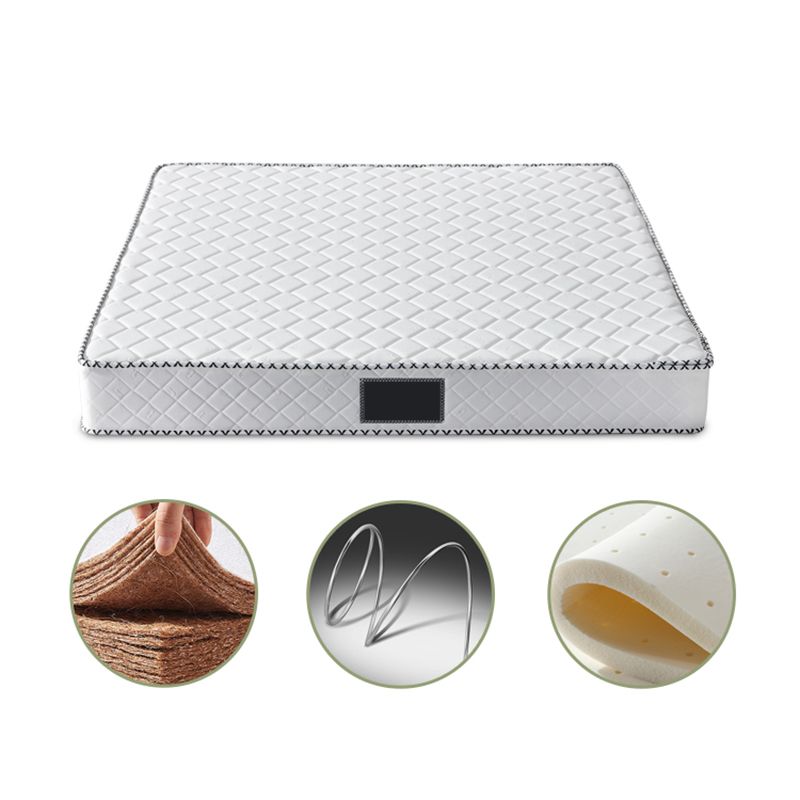 Contemporary Standard Bed with Rectangle Upholstered Headboard in White Clearhalo 'Bedroom Furniture' 'Beds' 'furn' 'furn_beds' 'Furniture' 1200x1200_838cbdcd-01e2-42ec-8346-73b95df289a9