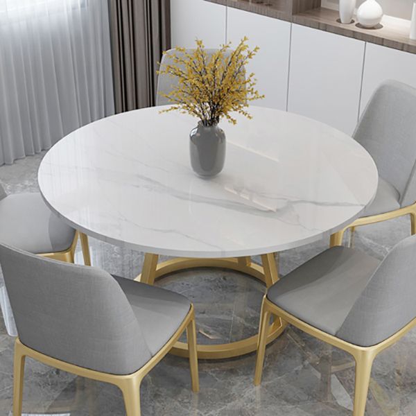 Contemporary Round Dining Table White Sintered Stone Dining Table with Pedestal Base Clearhalo ' dining_table' 'Dining Tables & Seating' 'Dining Tables' 'Furniture' 'furniture_dining_table' 'Kitchen & Dining Furniture' 'kitchen&dining_furn' 'kitchen' 'kitchen_dining_table' 1200x1200_83ca7c71-51ac-4bbf-8dff-39da4f36f7c2