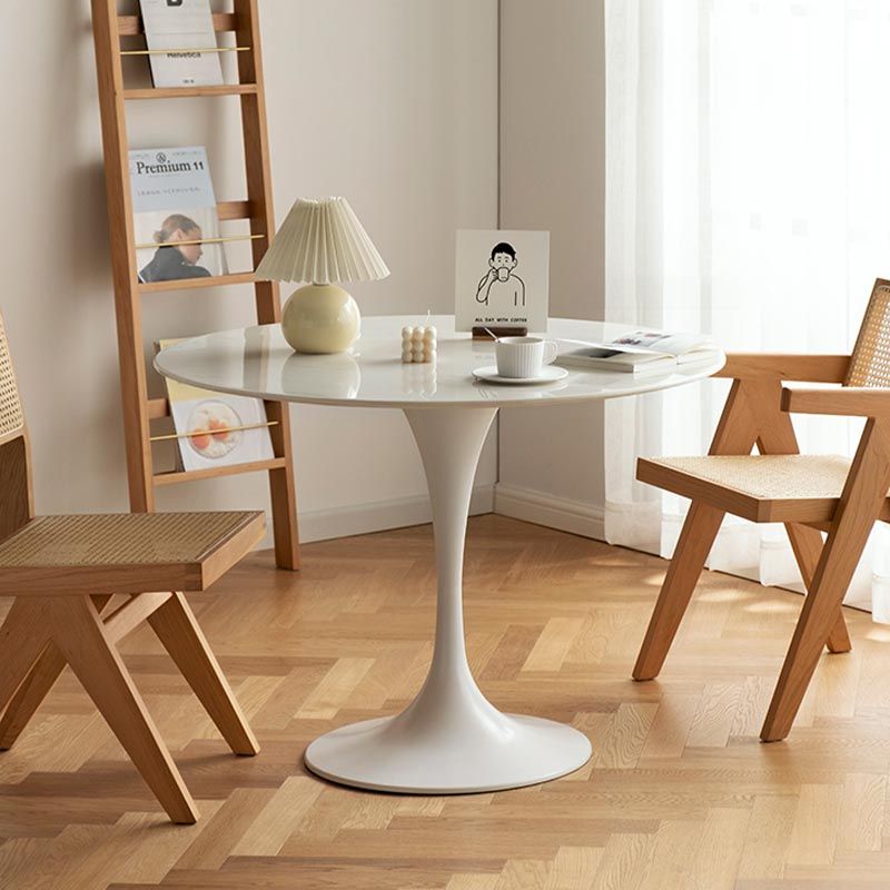 Oak Solid Wood Dining Chair Traditional Rattan Dining Arm Chair Clearhalo 'Dining Chairs' 'Dining Tables & Seating' 'dining_chair' 'furn' 'furn_dining_chair' 'Furniture' 'Kitchen & Dining Furniture' 1200x1200_84129762-8460-4ef7-8872-a373e26ccb0c