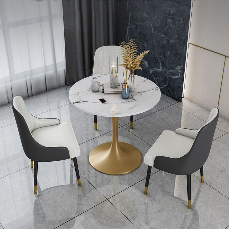 Glam Faux Marble Dining Table Set Round 1/2/4/5 Pieces Dining Set Clearhalo 'Dining Room Sets' 'Dining Tables & Seating' 'dining_room_set' 'furn' 'furn_dining_room_set' 'Furniture' 'Kitchen & Dining Furniture' 1200x1200_841a62c4-c54a-411d-bf5d-f05a8e64a375