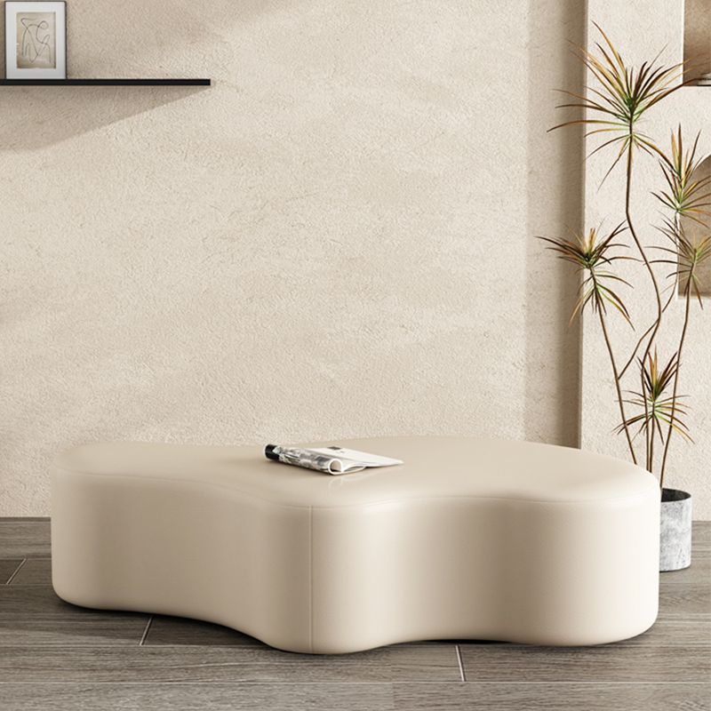 Modern Bedroom Entryway Bench Solid Wood Upholstered Seating Bench Clearhalo 'Benches' 'Chairs & Seating' 'furn' 'furn_benches' 'Furniture' 'Living Room Furniture' 1200x1200_8425ea42-0db8-4be7-9ea8-6313da776d8e