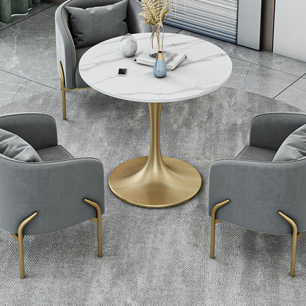 Contemporary Round Dining Table Sintered Stone Dining Table with Tulip Base Clearhalo ' dining_table' 'Dining Tables & Seating' 'Dining Tables' 'Furniture' 'furniture_dining_table' 'Kitchen & Dining Furniture' 'kitchen&dining_furn' 'kitchen' 'kitchen_dining_table' 1200x1200_8478f1f4-2bbb-49c8-b2af-179a0ba69361