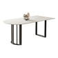 Stone Dining Room Collection Contemporary Double Pedestal Dining Table for Home Clearhalo 'Dining Tables & Seating' 'Dining Tables' 'dining_table' 'furn' 'furn_dining_table' 'Furniture' 'Kitchen & Dining Furniture' 1200x1200_8494c7e5-12e2-4746-8b54-1cdde7c22d32