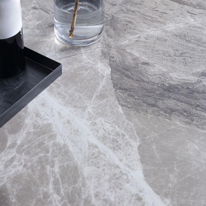 Sintered Stone Dining Table Luxury Style Pedestal Table for Dining Room Clearhalo ' dining_table' 'Dining Tables & Seating' 'Dining Tables' 'furn' 'furn_dining_table' 'Furniture' 'furniture_dining_table' 'Kitchen & Dining Furniture' 'kitchen&dining_furn' 'kitchen' 'kitchen_dining_table' 1200x1200_8540b5e3-16a2-4d9a-8ce4-82020a0dca31