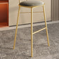 Glam Armless Backrest Counter Stool Iron Cashier Bar Stool with Cushion and Pedal Clearhalo 'Bar Furniture' 'Bar Stools' 'bar_stools' 'furn' 'furn_bar_stools' 'Furniture' 'Kitchen & Dining Furniture' 1200x1200_85bb3c5d-9b7c-4c47-85d5-f13f87c68fd4