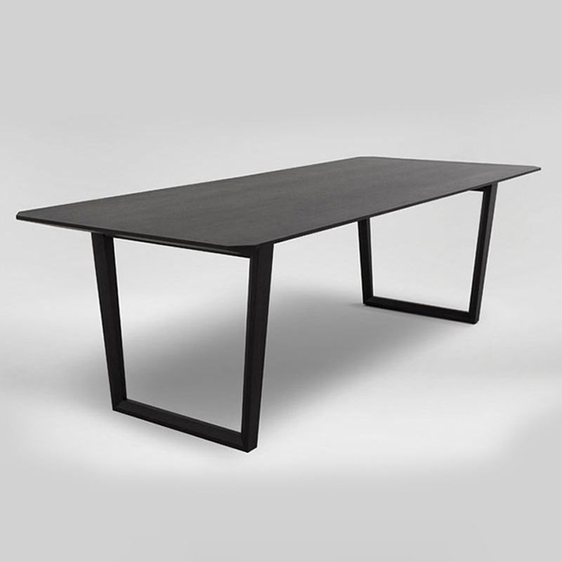 Modern Style Home Dining Table Rectangular Shape Table with Double Pedestal Clearhalo ' dining_table' 'Dining Tables & Seating' 'Dining Tables' 'furn' 'furn_dining_table' 'Furniture' 'furniture_dining_table' 'Kitchen & Dining Furniture' 'kitchen&dining_furn' 'kitchen' 'kitchen_dining_table' 1200x1200_85c0995a-ecef-4df4-b4c5-bd130242fe3e