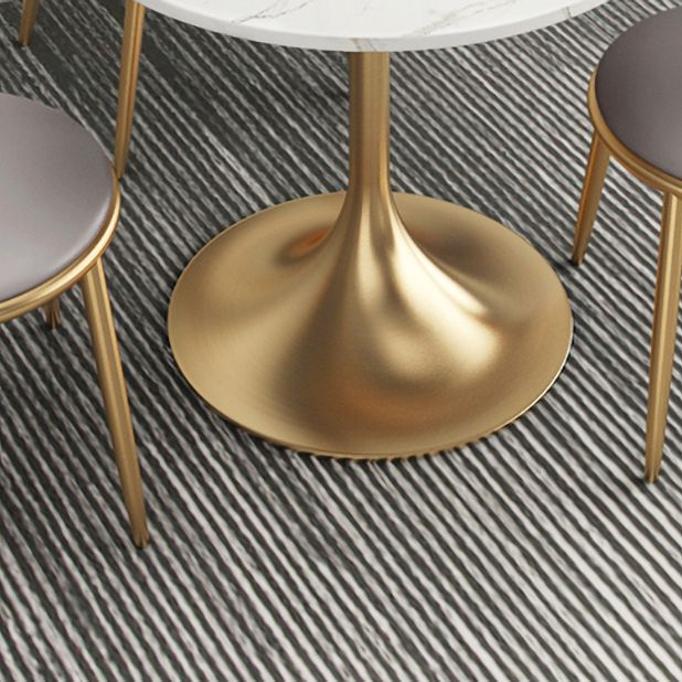 1/2/4/5 Pcs Metal Glam Dining Room Set with Round Table and Metal Base Dining Set Clearhalo 'Dining Room Sets' 'Dining Tables & Seating' 'dining_room_set' 'furn' 'furn_dining_room_set' 'Furniture' 'furniture_dining_room_set' 'Kitchen & Dining Furniture' 'kitchen&dining_furn' 'kitchen' 1200x1200_86573e84-0455-4423-ac02-0088541115b5