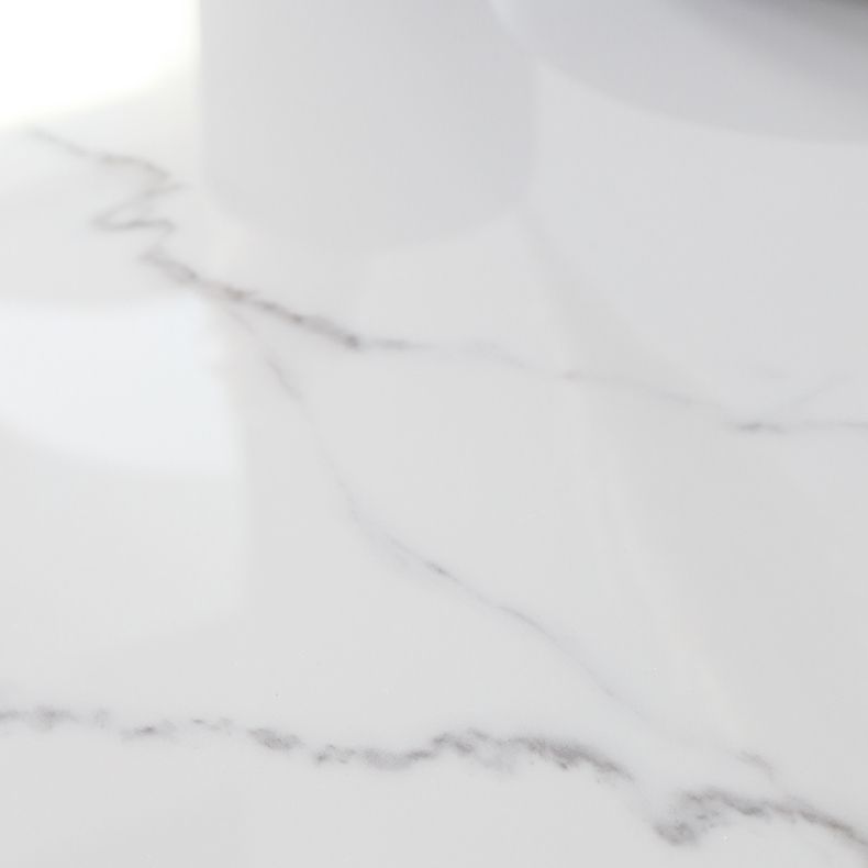 Modern Style Sintered Stone Dining Set with 4 Legs Fixed Table Dinette Set for Dining Room Clearhalo 'Dining Room Sets' 'Dining Tables & Seating' 'dining_room_set' 'furn' 'furn_dining_room_set' 'Furniture' 'furniture_dining_room_set' 'Kitchen & Dining Furniture' 'kitchen&dining_furn' 'kitchen' 1200x1200_867baffe-b779-4015-a461-acd4a743037f