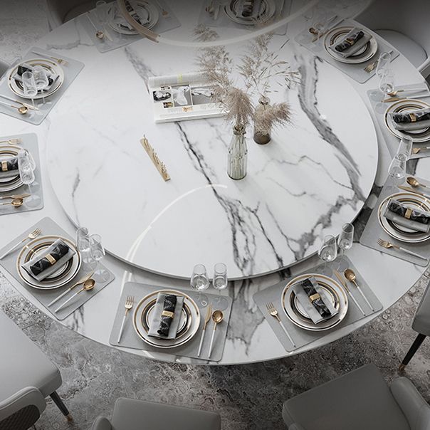 Round Pedestal Dining Table Traditional Luxury Furniture with Turntable Clearhalo 'Dining Tables & Seating' 'Dining Tables' 'dining_table' 'furn' 'furn_dining_table' 'Furniture' 'Kitchen & Dining Furniture' 1200x1200_8697ed21-f0c9-4175-8963-98d611891c58