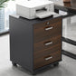 Modern File Cabinet Wood Lock Storage Filing Cabinet with Wheels Clearhalo 'Filing Cabinets' 'filling_cabinets' 'furn' 'furn_filling_cabinets' 'Furniture' 'Office Furniture' 1200x1200_86cc0322-64f3-49e8-b33d-1d34dc9f1a8b