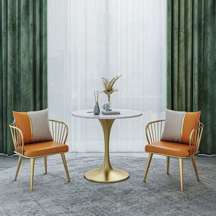 Glam 1/2/3/4/5 Pieces Sintered Stone Dining Set Dining Furniture Set /Separate Items Clearhalo 'Dining Room Sets' 'Dining Tables & Seating' 'dining_room_set' 'furn' 'furn_dining_room_set' 'Furniture' 'furniture_dining_room_set' 'Kitchen & Dining Furniture' 'kitchen&dining_furn' 'kitchen' 1200x1200_86cc4d37-c866-4cb1-8751-35eecfd781d5