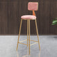 Glam Armless Backrest Counter Stool Steel Cashier Bar Stool with Flannel Cushion and Pedal Clearhalo 'Bar Furniture' 'Bar Stools' 'bar_stools' 'furn' 'furn_bar_stools' 'Furniture' 'furniture_bar_stools' 'Kitchen & Dining Furniture' 1200x1200_86f132d8-2b45-4859-85f7-022ec36600cf
