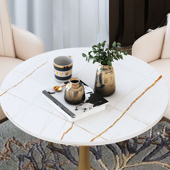 Round Luxury Style Dining Table White Tone Fixed Table with Sintered Stone Clearhalo ' dining_table' 'Dining Tables & Seating' 'Dining Tables' 'furn' 'furn_dining_table' 'Furniture' 'furniture_dining_table' 'Kitchen & Dining Furniture' 'kitchen&dining_furn' 'kitchen' 'kitchen_dining_table' 1200x1200_8721221e-8c0f-4a6d-8d9a-e7d51cfb7072