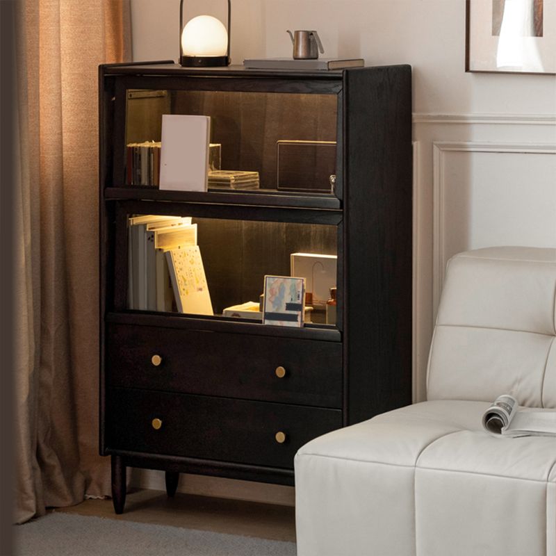 黒い固体のキュリオキャビネット照明付きモダンなガラスのドア