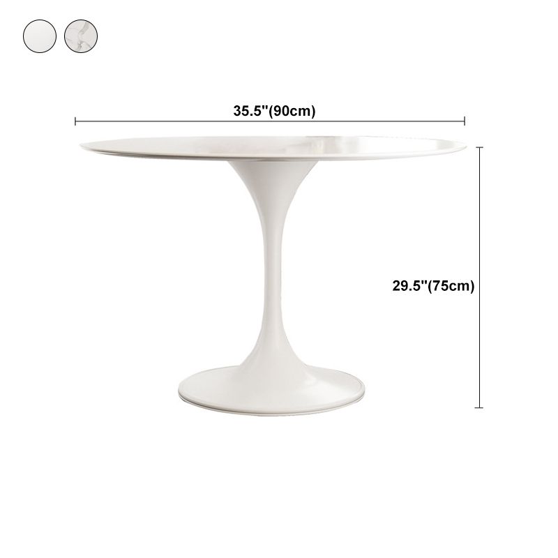 Stone Round Top Table Contemporary Dining Table with Pedestal Base Clearhalo 'Dining Tables & Seating' 'Dining Tables' 'dining_table' 'furn' 'furn_dining_table' 'Furniture' 'furniture_dining_table' 'Kitchen & Dining Furniture' 'kitchen' 'kitchen_dining_table' 1200x1200_87840290-00a9-451a-a25f-1a447a3ee6bb