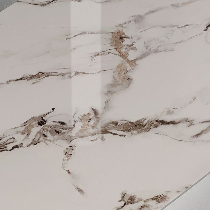 Modern Sintered Stone Dining Set with Rectangle Tabale and Metal Base Dining Room Furniture Set Clearhalo 'Dining Room Sets' 'Dining Tables & Seating' 'dining_room_set' 'furn' 'furn_dining_room_set' 'Furniture' 'furniture_dining_room_set' 'Kitchen & Dining Furniture' 'kitchen&dining_furn' 'kitchen' 1200x1200_8816d02b-0c0e-4b02-bee7-57ce26a4f465