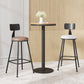 Modern Armless Backrest Counter Stool Iron Cafe Bar Stool with Leather Cushion Clearhalo 'Bar Furniture' 'Bar Stools' 'bar_stools' 'furn' 'furn_bar_stools' 'Furniture' 'furniture_bar_stools' 'Kitchen & Dining Furniture' 1200x1200_8862de42-1b57-4868-bee6-5f5b683e8b39