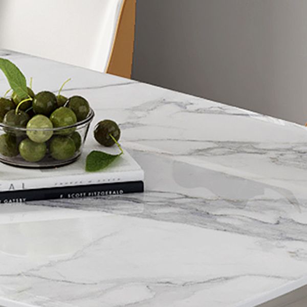 Sintered Stone White Tone Dining Table Luxury Pedestal Table for Dining Room Clearhalo 'Dining Tables & Seating' 'Dining Tables' 'dining_table' 'furn' 'furn_dining_table' 'Furniture' 'furniture_dining_table' 'Kitchen & Dining Furniture' 'kitchen' 'kitchen_dining_table' 1200x1200_8abcea9f-e052-44ba-b8e0-11b4f7284167
