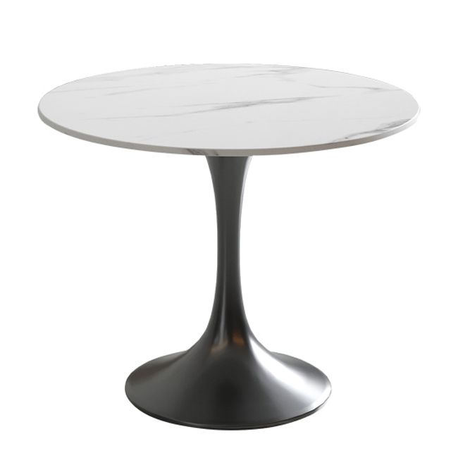 Modern Round Dining Table Sintered Stone Tulip Table for Dining Room Clearhalo 'Dining Tables & Seating' 'Dining Tables' 'dining_table' 'furn' 'furn_dining_table' 'Furniture' 'Kitchen & Dining Furniture' 1200x1200_8b012dca-d7d7-44dd-b8c5-c63f2cb2eb47