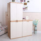 Plastic Matte Finish Storage Cabinet Modern Bedroom Hinged Door Cabinet