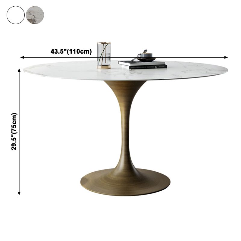 Traditional Luxury Tulip Base Furniture Round Stone Dining Table for Home Clearhalo ' dining_table' 'Dining Tables & Seating' 'Dining Tables' 'furn' 'furn_dining_table' 'Furniture' 'furniture_dining_table' 'Kitchen & Dining Furniture' 'kitchen&dining_furn' 'kitchen' 'kitchen_dining_table' 1200x1200_8b47083e-dd6b-4cc5-98e7-b01959f5f992