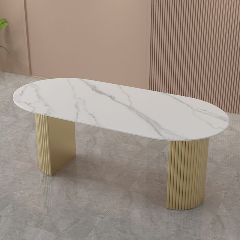 Modern Style Dining Table Oval Double Pedestal Dining Table for Home Clearhalo ' dining_table' 'Dining Tables & Seating' 'Dining Tables' 'furn' 'furn_dining_table' 'Furniture' 'furniture_dining_table' 'Kitchen & Dining Furniture' 'kitchen&dining_furn' 'kitchen' 'kitchen_dining_table' 1200x1200_8b52511d-d3b8-46df-aee9-4af8ee83088e