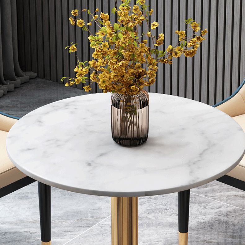 Glam 1/5 Pieces Marble Dining Set Dining Furniture Set /Separate Items Clearhalo 'Dining Room Sets' 'Dining Tables & Seating' 'dining_room_set' 'furn' 'furn_dining_room_set' 'Furniture' 'furniture_dining_room_set' 'Kitchen & Dining Furniture' 'kitchen&dining_furn' 'kitchen' 1200x1200_8b98a570-4cc2-4def-a198-0e02be23ca7c