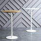 Industrial Wood Bar Dining Table Round Indoor Bistro Table with Single Pedestal Clearhalo 'Bar Furniture' 'Bar Tables' 'bar_tables' 'Furniture' 'furniture_bar_tables' 'Kitchen & Dining Furniture' 'kitchen&dining_furn' 'kitchen' 1200x1200_8ba1b65d-b2b8-4302-9142-9362db4aaafa