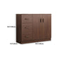 Modern Modern Side Cabinet Brown Accent Cabinet met deuren met deuren