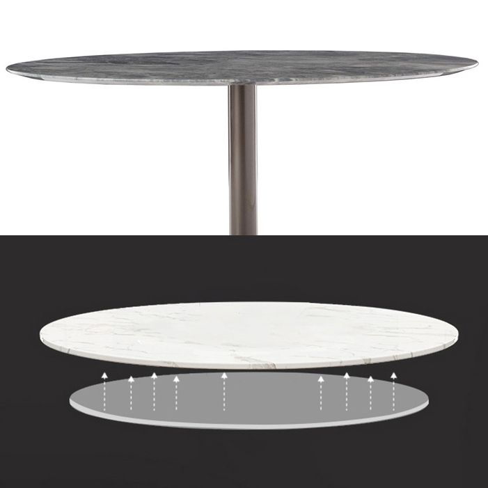 Metal Traditional Luxury Round Table Sintered Stone Table with Pedestal Base Clearhalo ' dining_table' 'Dining Tables & Seating' 'Dining Tables' 'furn' 'furn_dining_table' 'Furniture' 'furniture_dining_table' 'Kitchen & Dining Furniture' 'kitchen&dining_furn' 'kitchen' 'kitchen_dining_table' 1200x1200_8bb4658b-d04e-4430-8085-fe7175b6aaba