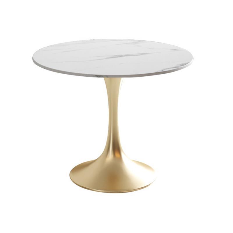 White Sintered Stone Top Table with Tulip Base Metal Traditional Luxury Round Dining Table Clearhalo 'Dining Tables & Seating' 'Dining Tables' 'dining_table' 'furn' 'furn_dining_table' 'Furniture' 'Kitchen & Dining Furniture' 1200x1200_8bec4e01-ba77-483b-9843-b597d0575952