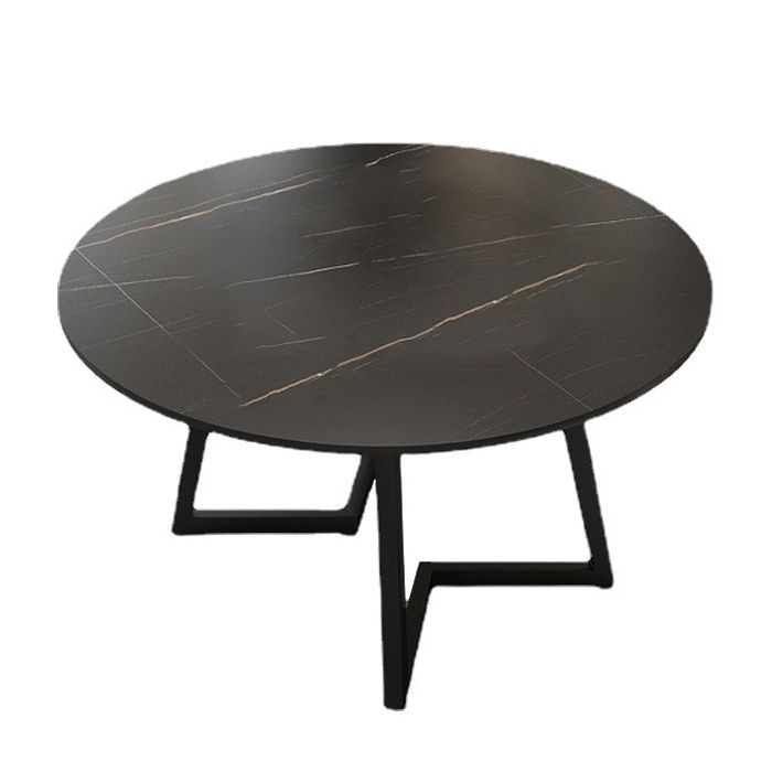 Round Sintered Stone Dining Table Modern Furniture with Double Pedestal for Home Clearhalo 'Dining Tables & Seating' 'Dining Tables' 'dining_table' 'furn' 'furn_dining_table' 'Furniture' 'Kitchen & Dining Furniture' 1200x1200_8bfe3591-b712-4a3c-84f1-6c5ef2874e8d