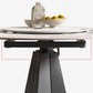 Modern Sintered Stone Top Dining Table Extendable Round Table with Pedestal Base Clearhalo 'Dining Tables & Seating' 'Dining Tables' 'dining_table' 'furn' 'furn_dining_table' 'Furniture' 'furniture_dining_table' 'Kitchen & Dining Furniture' 'kitchen' 'kitchen_dining_table' 1200x1200_8c53d681-0dfd-4fc7-a3e1-6303f7e597bc