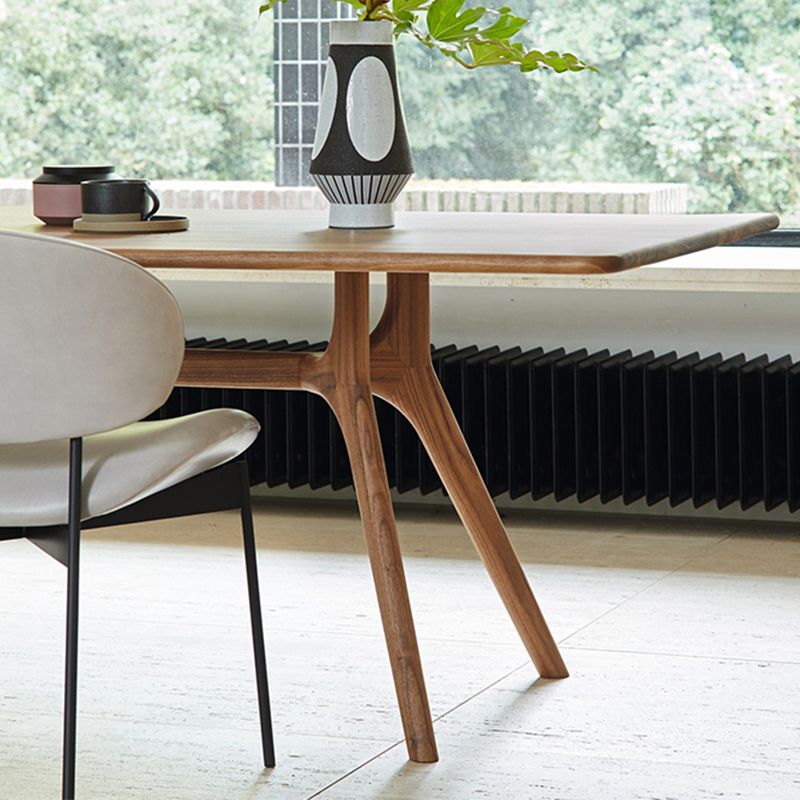 Rectangle Shape Wood Color Dining Table Solid Wood Table Modern with 4 Legs Clearhalo ' dining_table' 'Dining Tables & Seating' 'Dining Tables' 'furn' 'furn_dining_table' 'Furniture' 'furniture_dining_table' 'Kitchen & Dining Furniture' 'kitchen&dining_furn' 'kitchen' 'kitchen_dining_table' 1200x1200_8cb69d3a-5200-4abb-bb8c-d042d9a12b8d