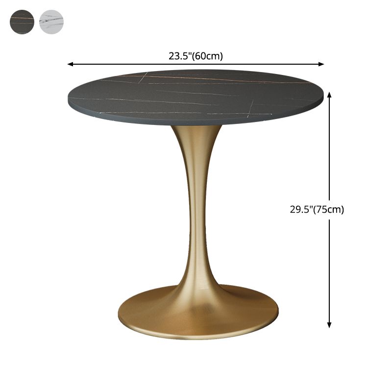 Round Sintered Stone Dining Table Traditional Luxury Dining Table with Tulip Base Clearhalo 'Dining Tables & Seating' 'Dining Tables' 'dining_table' 'furn' 'furn_dining_table' 'Furniture' 'furniture_dining_table' 'Kitchen & Dining Furniture' 'kitchen' 'kitchen_dining_table' 1200x1200_8da81523-591d-44ef-927e-3d301cfed4b7