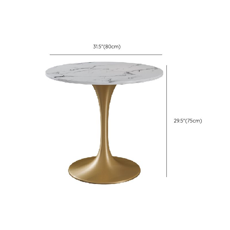 Round Dining Table with Metal Pedestal Modern Table for Home