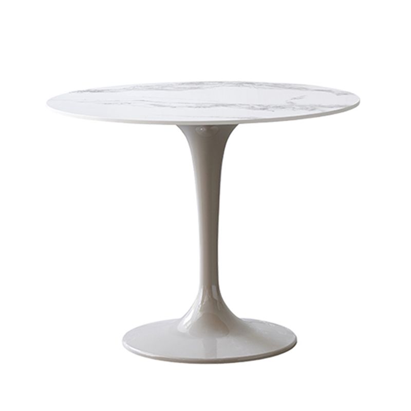 Contemporary Style Home Sintered Stone Dining Table Round Table with Tulip Base Clearhalo ' dining_table' 'Dining Tables & Seating' 'Dining Tables' 'furn' 'furn_dining_table' 'Furniture' 'furniture_dining_table' 'Kitchen & Dining Furniture' 'kitchen&dining_furn' 'kitchen' 'kitchen_dining_table' 1200x1200_8de1ce8d-079b-4974-b7a6-9d23466378f0