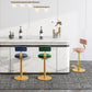 Indoor Footrest Counter Chair Adjustable Height Metal Swivel Counter Bar Stool Clearhalo 'Bar Furniture' 'Bar Stools' 'bar_stools' 'furn' 'furn_bar_stools' 'Furniture' 'furniture_bar_stools' 'Kitchen & Dining Furniture' 1200x1200_8def7af4-173f-4881-8fdf-ea2c69743acc