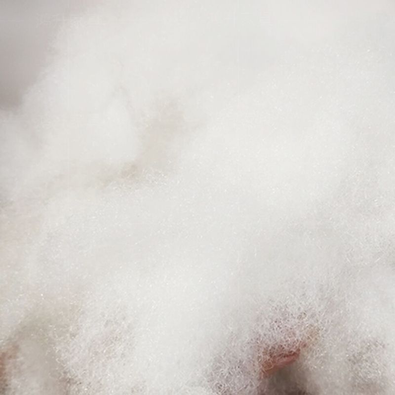 Living Room Cushions Stain Resistant Faux Leather Square Arm Sofa Clearhalo &#39;furn&#39; &#39;furn_sofas&#39; &#39;Furniture&#39; &#39;Living Room Furniture&#39; &#39;Sofa&#39; &#39;sofas&#39; 1200x1200_8e03856c-f9cd-4458-99a0-1e3ee89d47de