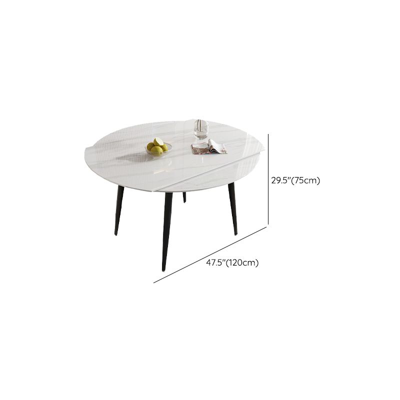 Modern Stone Dining Table with 4 Black Legs Table for Dining Room Clearhalo 'Dining Tables & Seating' 'Dining Tables' 'dining_table' 'furn' 'furn_dining_table' 'Furniture' 'Kitchen & Dining Furniture' 1200x1200_8e5fa322-38a7-46fe-bf7e-c3f07da1d195