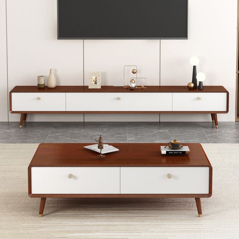 Solid Wood 13.78" H TV Stand Nordic 2 Drawers TV Stand Console Clearhalo 'furn' 'furn_tv_stands_entertainment_centers' 'Furniture' 'Living Room Furniture' 'TV Stands & Entertainment Centers' 'TV Stands & Media Storage Furniture' 'tv_stands_entertainment_centers' 1200x1200_8e677359-8642-4373-9408-e2424557d391